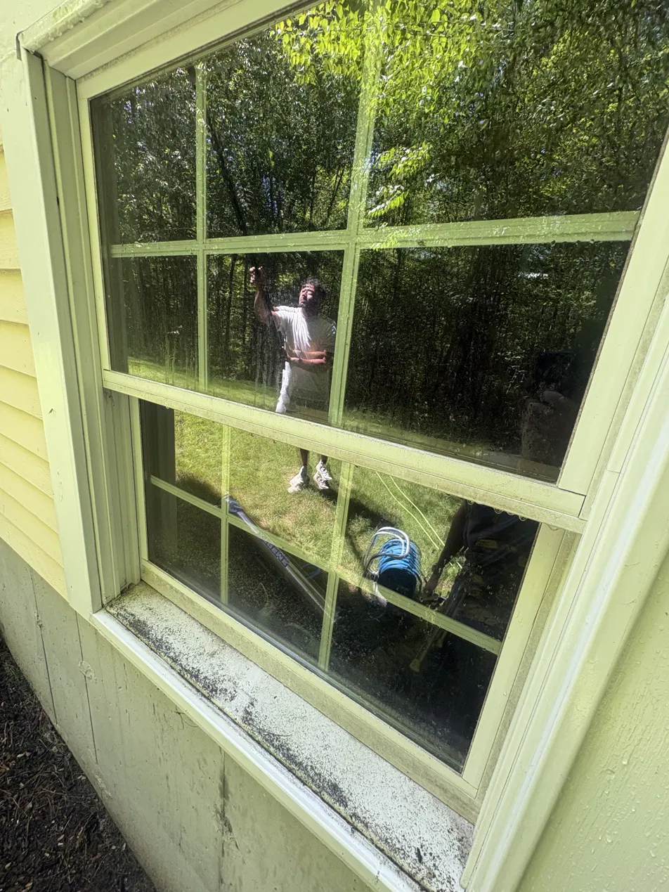 Dirty window covered in pollen and grime before cleaning